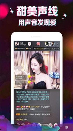 城市爆料直播视频大全,全景式呈现城市生活百态