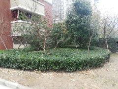 南通景河苑最新爆料,揭秘神秘项目背后的真相 第2张 南通景河苑最新爆料,揭秘神秘项目背后的真相 第2张